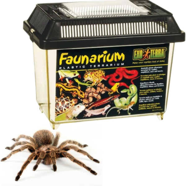 Exo Terra Faunarium, Plastic Reptile Terrarium, Small, PT2255